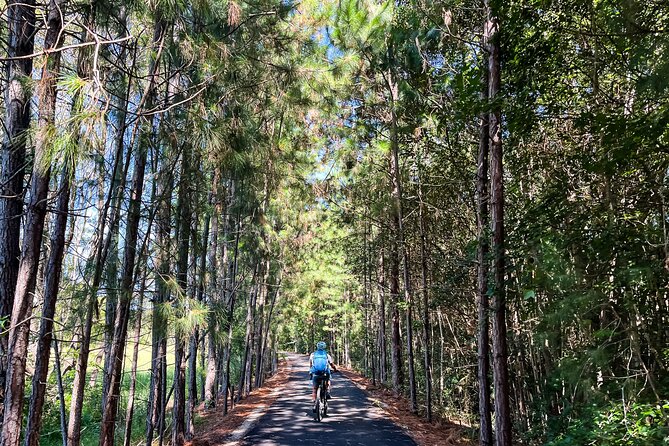 Premium E Bike Hire at the Northern Rivers Rail Trail - Your ride plan: Crabbes Creek to Murwillumbah, with art and farms