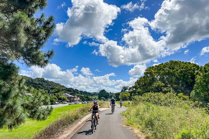 Premium E Bike Hire at the Northern Rivers Rail Trail - Weather, comfort, and who should book this