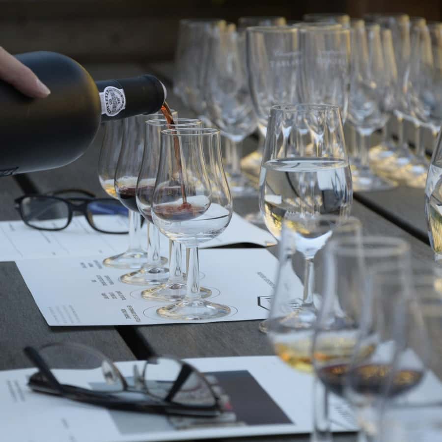 Premium Empanadas Cooking Class & Wine Tasting Experience - Price and Value: Is $49 Worth It?