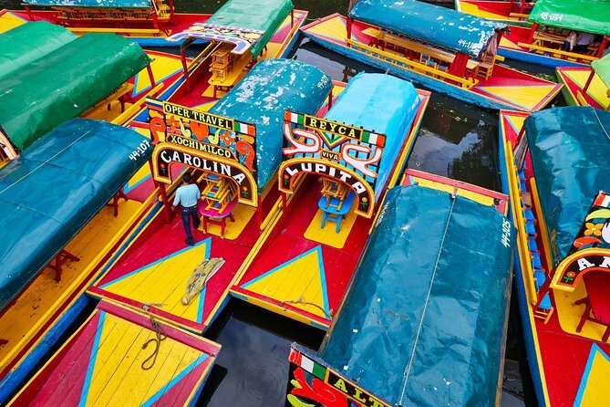 PREMIUM Frida Kahlo Museum and Xochimilco (Small Groups) - Hotel Pickup and the Van Ride: Where the Day Can Make or Break