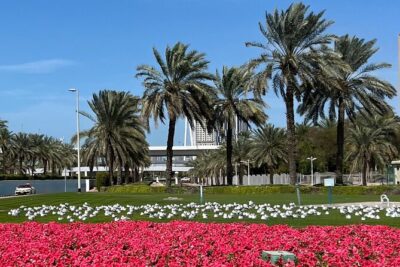 Premium Full Day Dubai City Sightseeing Tour - Jumeirah Mosque: a rare Dubai moment that slows you down
