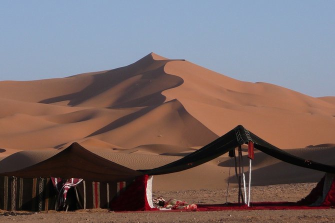 Premium Full-Day Safari, Dune Bash, Camel Ride and BBQ Meal in Desert Camp - From Doha To Real Desert Sport, Not Just a Photo Stop