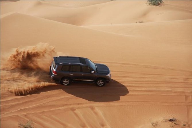 Premium Full-Day Safari, Dune Bash, Camel Ride and BBQ Meal in Desert Camp - Pickup, Timing, and How the Day Flows (Without Feeling Rushed)
