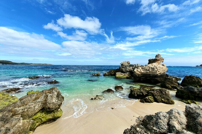 Premium Full Day Tour - Key Highlights to Know Before You Go