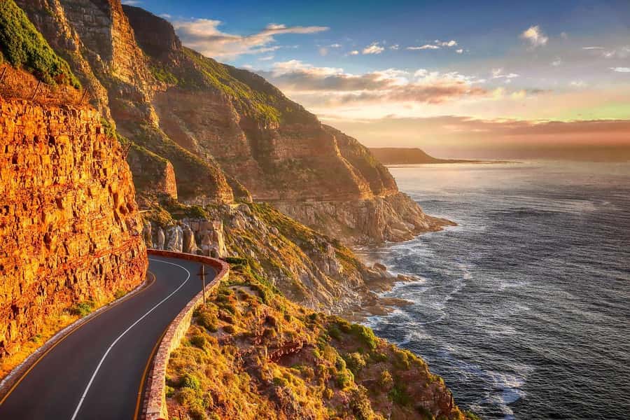 Premium Great Ocean Road Reverse Tour 13Pax Max Hotel PickUP - Wildlife spotting: koalas and kangaroos in the wild