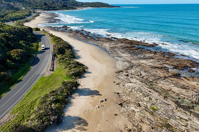 Premium Great Ocean Road Tour IN A Relaxed Way IN Premium Coach - Melba Gully Rainforest: A Cooler Pace in 25 Minutes