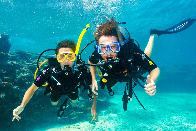 Premium Guided Dive Trip - Outer Great Barrier Reef - Premium Guided Reef Day From Port Douglas (What You’re Really Buying)
