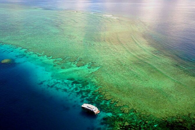 Premium Guided Dive Trip - Outer Great Barrier Reef - Equipment, Lunch, and Comfort Details You’ll Notice (In a Good Way)
