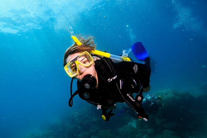 Premium Guided Dive Trip - Outer Great Barrier Reef - Should You Book Scuba IQ’s Outer Great Barrier Reef Trip?
