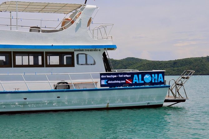 Premium Guided Scuba Diving Day Trip for Certified Divers - Who Should Book This Phuket Scuba Day Trip