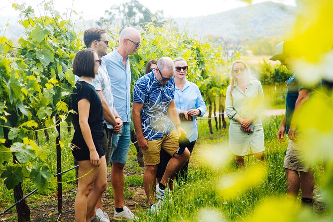 Premium Hunter Valley Wine Tour with Lunch from Sydney - Pokolbin at The Farm: lunch you can actually enjoy, then a tasting