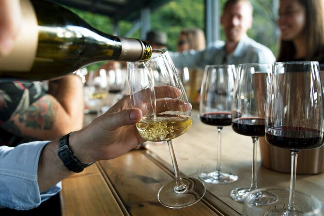 Premium Hunter Valley Wine Tour with Lunch from Sydney - Wine + cheese and wine + chocolate: the pairings that make the day feel complete