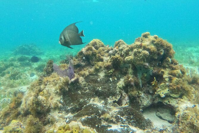 Premium Isla Mujeres Tour by Private Catamaran - Best-fit travelers: who will enjoy this most