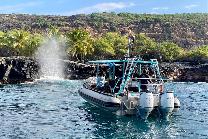 Premium Kona Coast Morning Snorkel - What you might see in the water (and why mornings feel different)