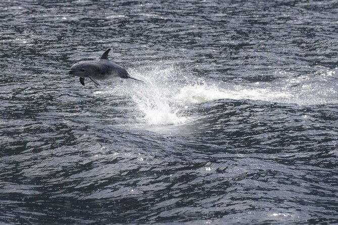 Premium Milford Sound Cruise Including Lunch - Weather reality check (and how you’re protected)