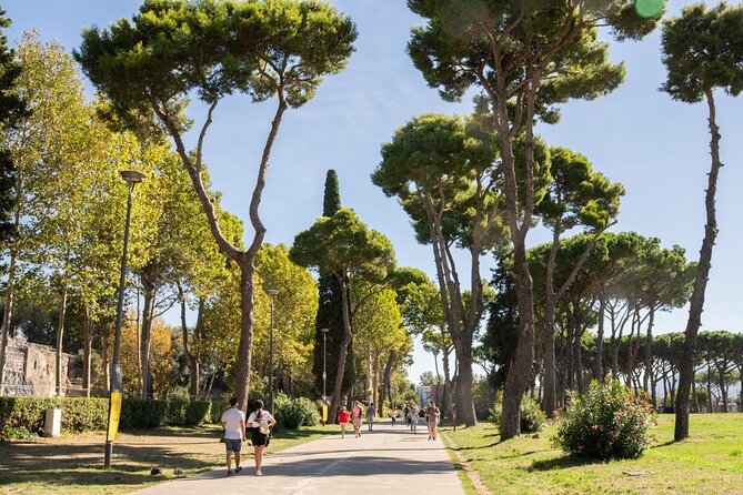 Premium Minivan Trip from Rome: Pompeii Tour & Lunch in Sorrento - Price and value: is $107.63 reasonable for this day?