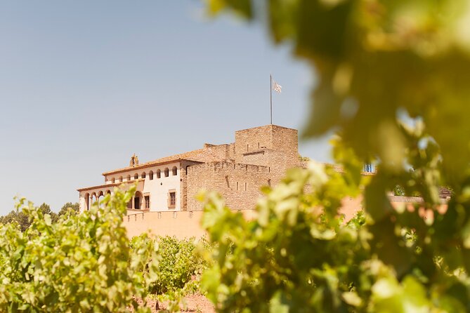 Premium Montserrat & Wine Full Day Tour from Barcelona - Montserrat from Barcelona: the day starts early for a reason