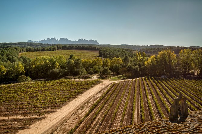 Premium Montserrat & Wine Full Day Tour from Barcelona - Should you book the Montserrat and wine day trip?