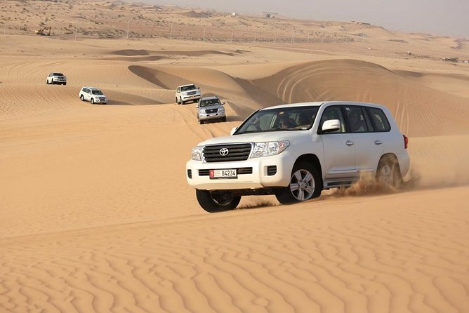 Premium Morning Desert Safari in 4x4 Private Vehicle Up To 6 Pax - Desert Flora and Wildlife Stops: Small Stops, Big Feeling