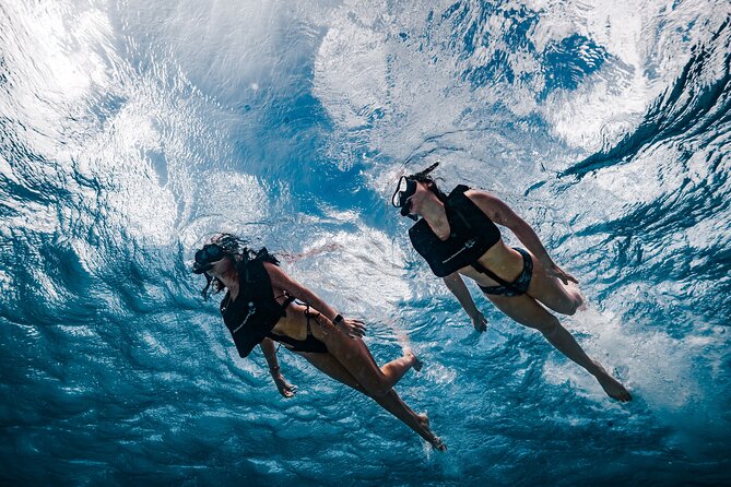 Premium Morning Snorkel Sail with Champagne Brunch - Getting Started at Pelican Pier: Find the Dock and Settle In