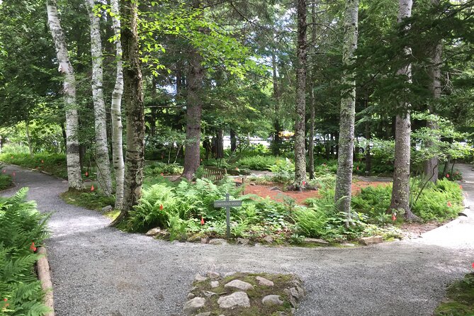 Premium Narrated Bus Tour of Bar Harbor and Acadia National Park (3.5 Hours) - Sieur de Mont’s Spring: The Park’s Origins Plus a Garden Moment