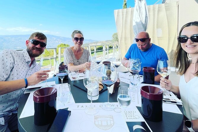 Premium Nemea Wine Tour from Athens, Nafplio or Nemea, with Oenologists - Timing, energy, and how to get the most from the day