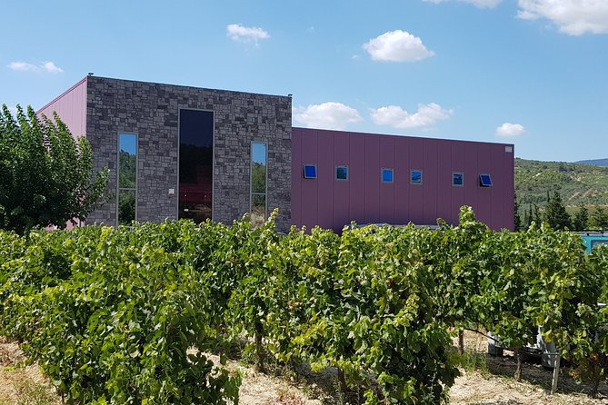 Premium Nemea Wine Tour from Athens, Nafplio or Nemea, with Oenologists - Who should book this Nemea wine tour?