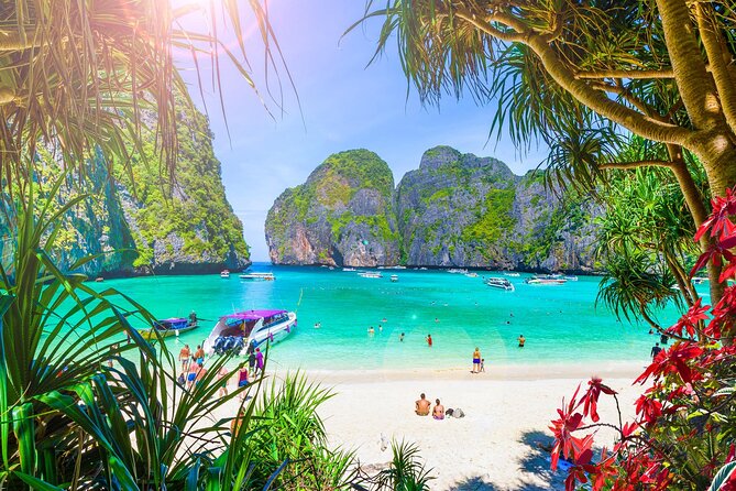 Premium Phi Phi, bamboo island tour Speed Catamaran - Late-Start Timing From Phuket: Catch Phi Phi Without the Peak Rush