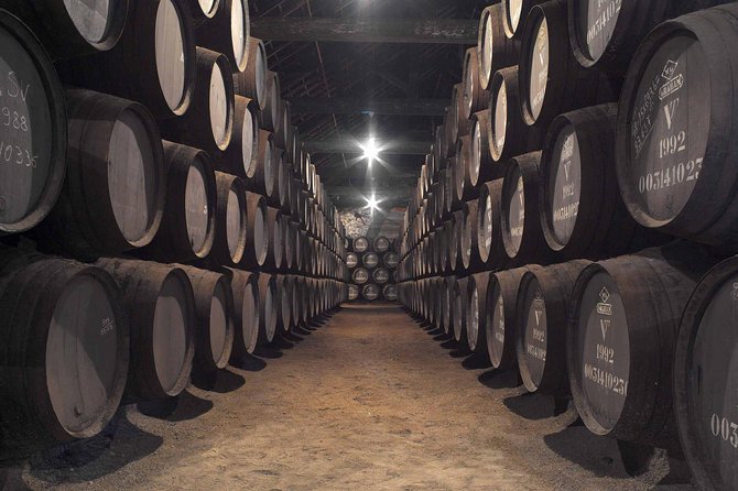 Premium Porto Private Day Trip from Lisbon with Local Guide - How this Porto day trip really plays out from Lisbon