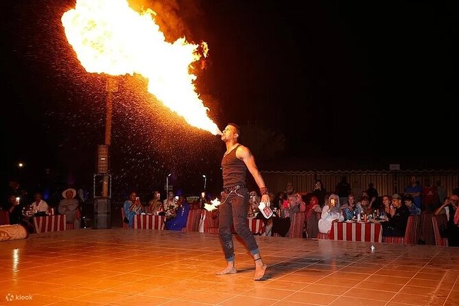 Premium Private Desert Safari by 4x4 Vehicle with BBQ Dinner - Dinner Under the Stars: BBQ Buffet, Unlimited Drinks, and the Live Shows