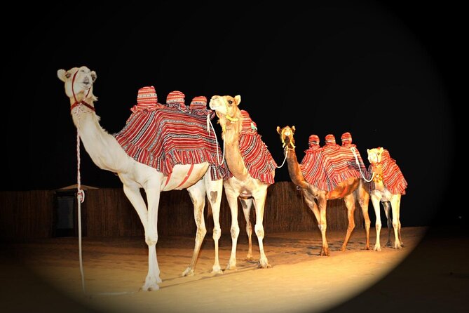 Premium Private Desert Safari with Camel Ride & Live BBQ Dinner - How This Private Dubai Desert Safari Works (6 to 7 Hours With Pickup)
