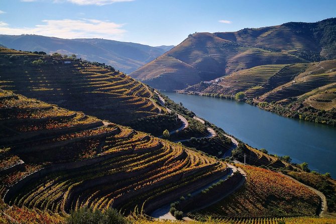 Premium Private Douro Tour: 3 Wineries with Tastings & Lunch - Porto to the Douro: Easy Pickup, Real Wine Time