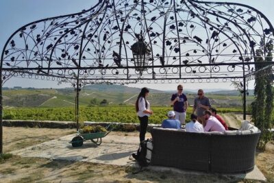Premium Private Douro Tour: 3 Wineries with Tastings & Lunch - Quinta de Avessada (Favaios): Moscatel Gets the First Word