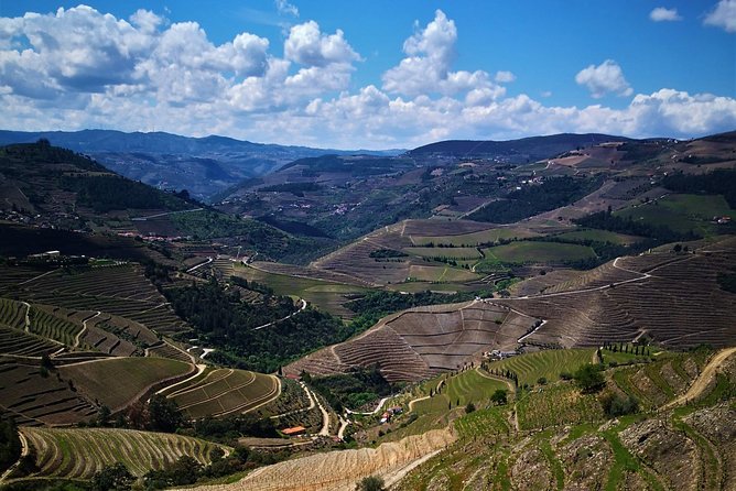 Premium Private Douro Tour: 3 Wineries with Tastings & Lunch - Lunch Pairing That Makes the Tastings Make Sense