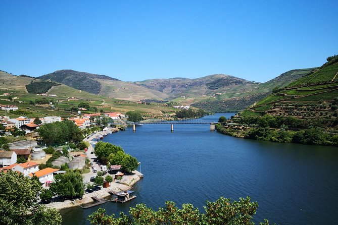 Premium Private Douro Tour: 3 Wineries with Tastings & Lunch - Price and Value: Is $520.23 Worth It?