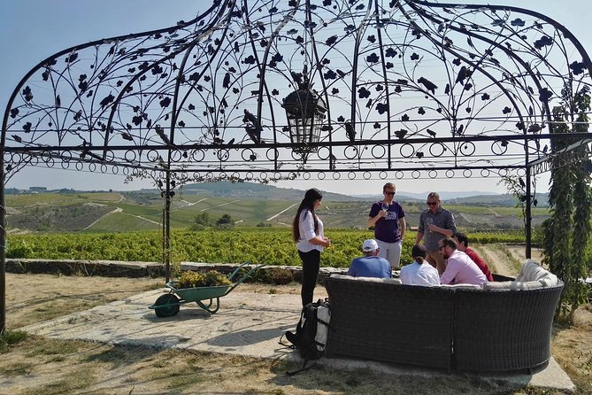Premium Private Douro Tour: 3 Wineries with Tastings & Lunch - Quinta de Avessada (Favaios): Moscatel Gets the First Word