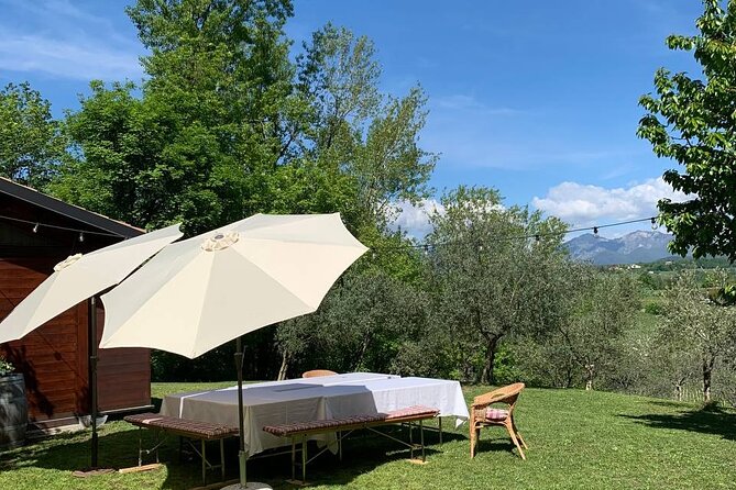 Premium Private Prosecco Hills Tour - 2 Wineries. Private tour. - Price: Is $231.29 per Person Good Value?