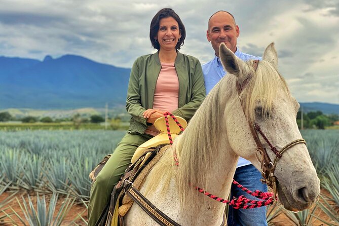 Premium Private Tequila Tour - Stop 1: Glorieta La Minerva and the Easy Start