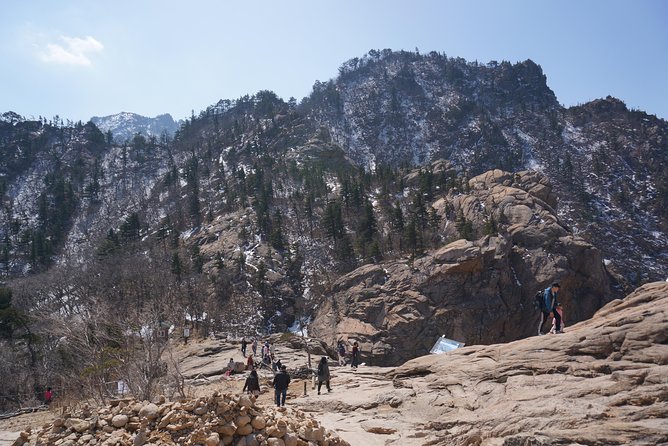 [Premium Private Tour] Mt Seorak & East Sea or Nami island from Seoul - The guide factor: why English and on-the-ground decisions matter