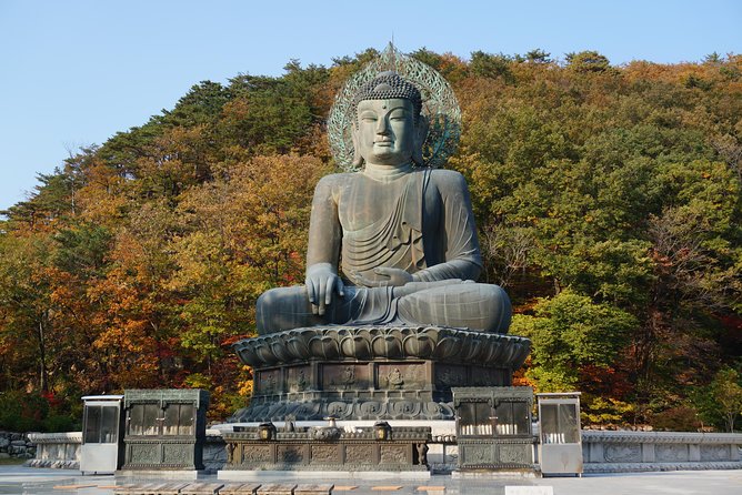 [Premium Private Tour] Mt Seorak & East Sea or Nami island from Seoul - Mt. Seoraksan and Sinheungsa Temple: cable car or the valley walk