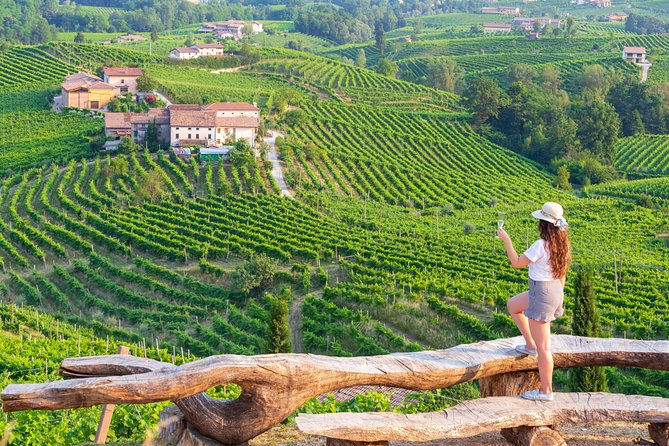 Premium Prosecco Hills Winery Tour with Prosecco Tastings & Food - Key Prosecco Hills Moments You’ll Care About