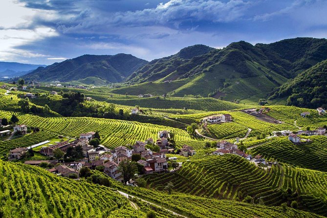 Premium Prosecco Hills Winery Tour with Prosecco Tastings & Food - From Venice at 9:30 to the UNESCO Prosecco Hills in One Smooth Day