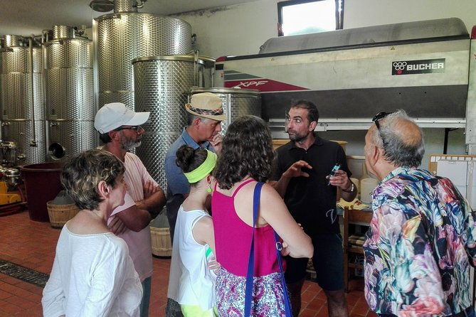 Premium Prosecco Hills Winery Tour with Prosecco Tastings & Food - Food Pairings: Cold Cuts and Cheese That Don’t Fight the Bubbles