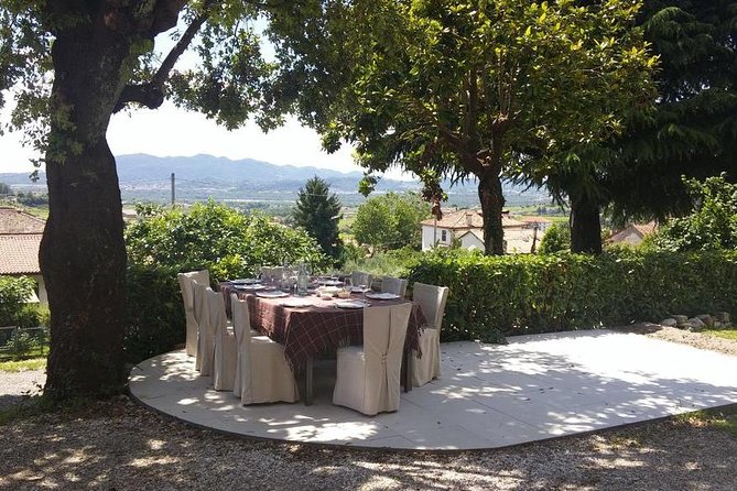 Premium Prosecco Hills Winery Tour with Prosecco Tastings & Food - Pricing and Value: Why $247.39 Can Still Make Sense