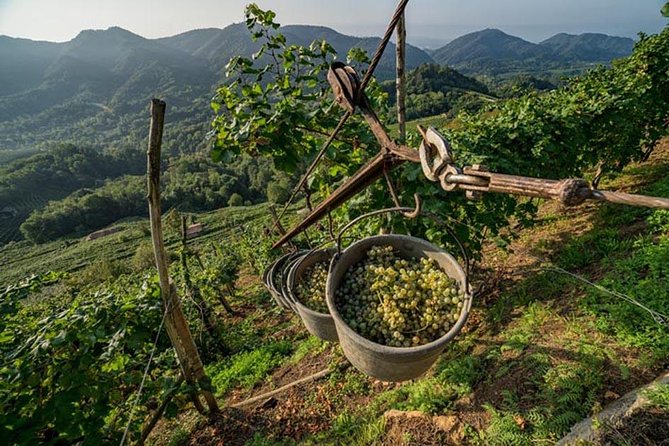 Premium Prosecco Hills Winery Tour with Prosecco Tastings & Food - Valdobbiadene: The View Stop That Explains Why Prosecco Needs Hills