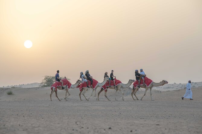 Premium Red Dunes Bashing with Quad Bike, Camel, Falcon &VIP Camp - Lahbab Desert Timing: what a 2:00 pm start really means