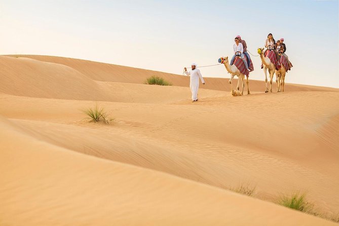 Premium Red Dunes Safari and Camel Safari with BBQ Dinner - Key moments you’ll care about most