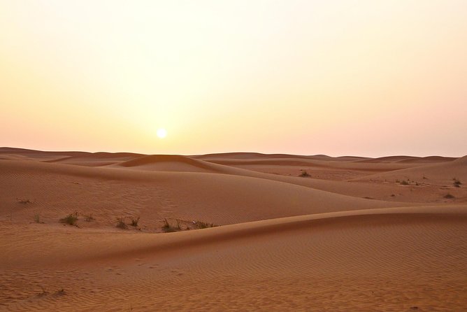 Premium Red Dunes Safari and Camel Safari with BBQ Dinner - From JBR Meeting Point to Dune Bashing: Timing That Matters