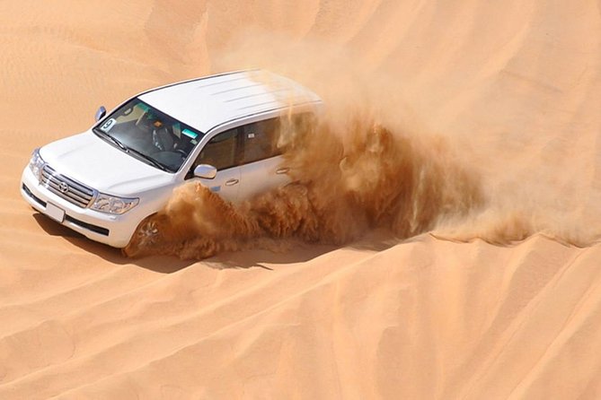 Premium Red Dunes Safari and Camel Safari with BBQ Dinner - BBQ Dinner Under Live Shows: Where the Night Finds Its Pace