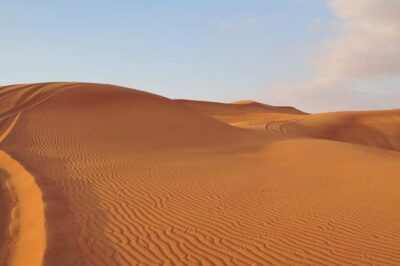 Premium Red Dunes Safari and Camel Safari with BBQ Dinner - Camel Ride and Desert Coffee: Traditional Extras That Still Feel Human